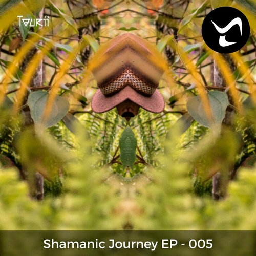 Taurii - Shamanic Journey 5 [005]